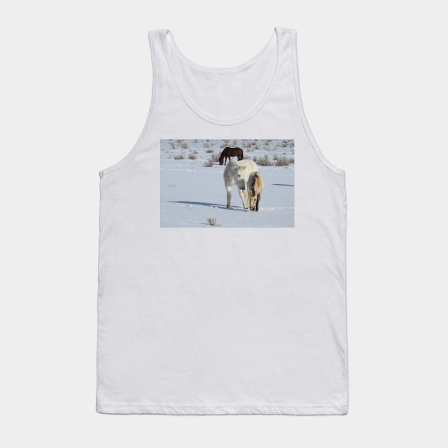 Wild horses, Arizona, nature, wildlife, gifts Tank Top by sandyo2ly